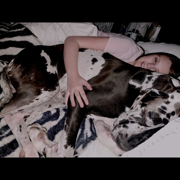 Meet your Posher, Brooke - Picture 1 of 1